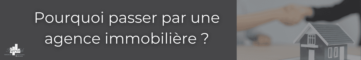 pourquoi passer par une agence immobilière ?